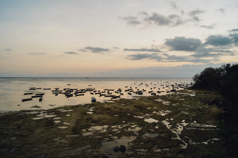 sunset, bird, scenics - nature, indonesia, animal themes, nusalembongan, bali, tree, ebb, water, beauty in nature, large group of animals, no people, horizon