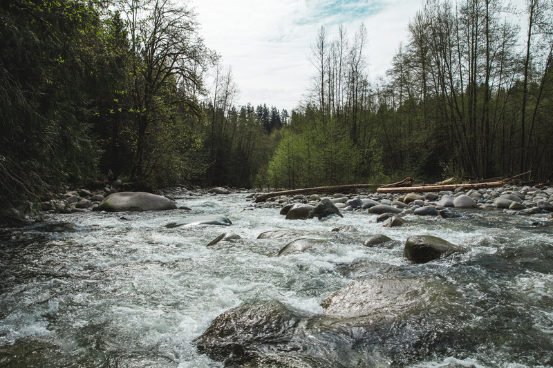 water, stream - flowing water, rough, non-urban scene, tree, environment, flowing, tranquil scene, terrain, plant, outdoors, surrounded, no people, roll