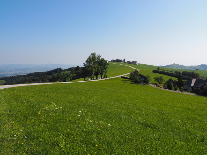 grass, growth, land, summer, austria, of course, day, landscape, landscapes, no people, scenic, non-urban scene, sunlight, mountains, beauty in nature