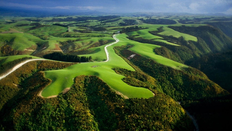 outdoors, Hill, New Zealand, Green, non-urban scene, plant, rolling landscape, grass, Aerial View, day, field, green color, 720P, beauty in nature, growth