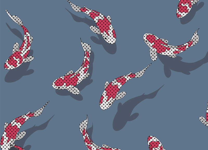 koi fish, 720P, fish, pop art