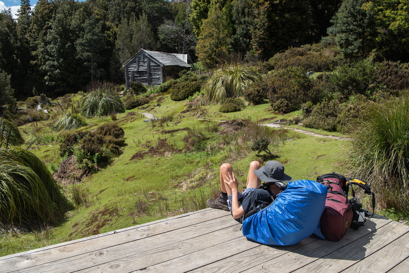 outdoors, growth, full length, lifestyles, scenery, men, plant, leisure activity, wilderness, scenic, wood - material, adult, tree, bush, overland track