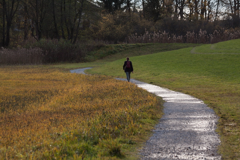walk, walking, tranquility, person, nature, away, puddles, land, along, backpack, beauty in nature, field, pathway, real people, hiking, lifestyles, the way forward