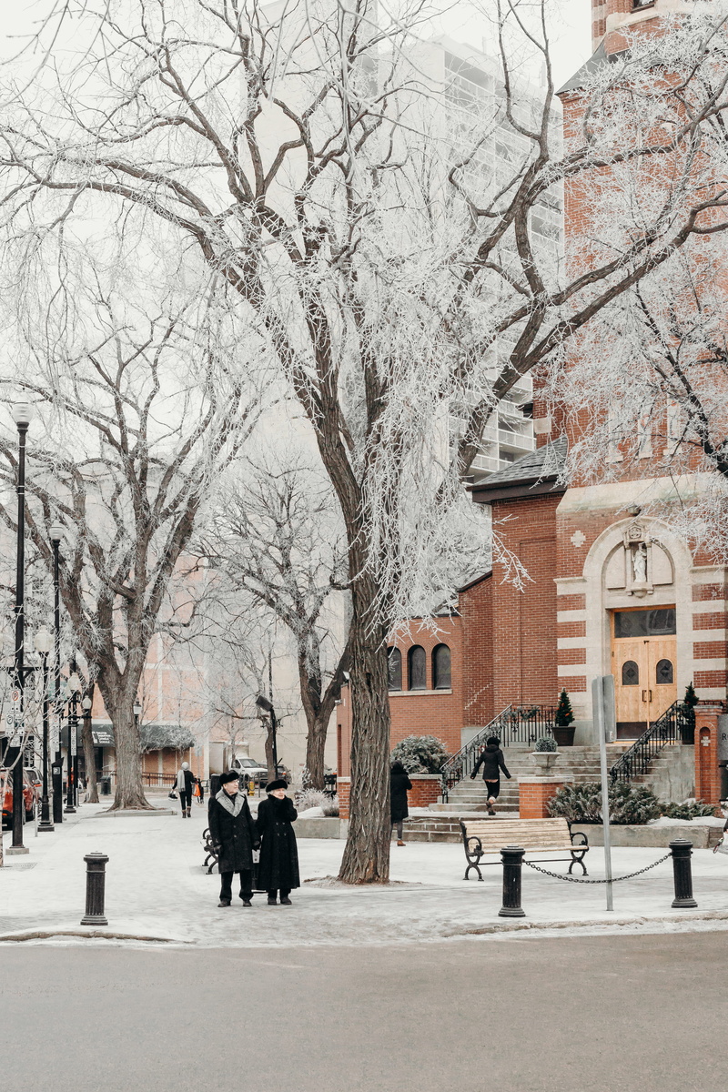 man, elderly, transportation, nature, trees, couple, group of people, winter, two, near, building exterior, walking, cold temperature, street, withered