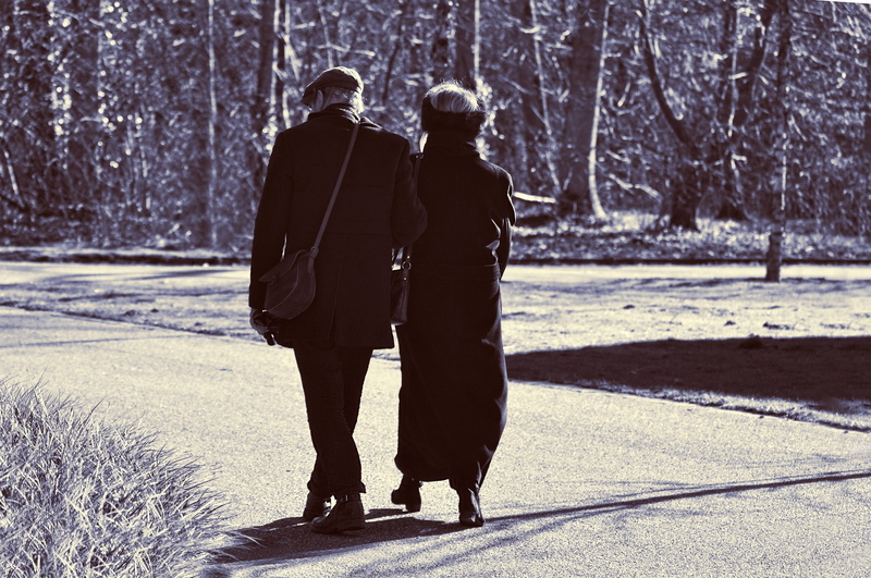 people, cold temperature, couple - relationship, bonding, real people, street, full length, togetherness, road, women, together, tree, two, day, nature