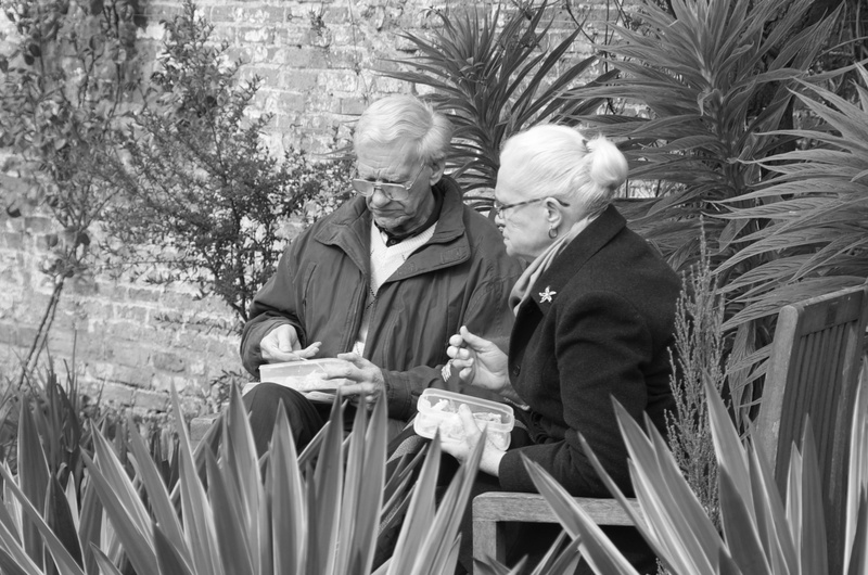 growth, nature, men, lunch, togetherness, grandparents, pensioner, old, waist up, senior women, heterosexual couple, bonding, elderly couple, love, romance