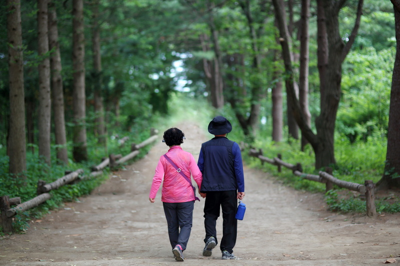 trees, plant, man, direction, full length, holding, leisure activity, women, togetherness, pathway, 5K, two people, hand, footpath, walking, forest, elderly couple