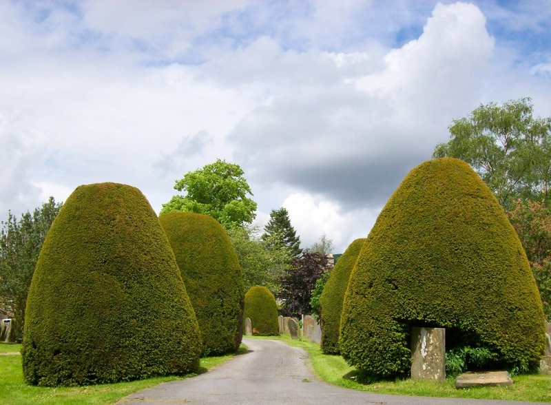 green color, no people, 720P, garden, hedge, beauty in nature, plant, england, tranquil scene, ornamental garden, churchyard, day, graves, topiary, clouds