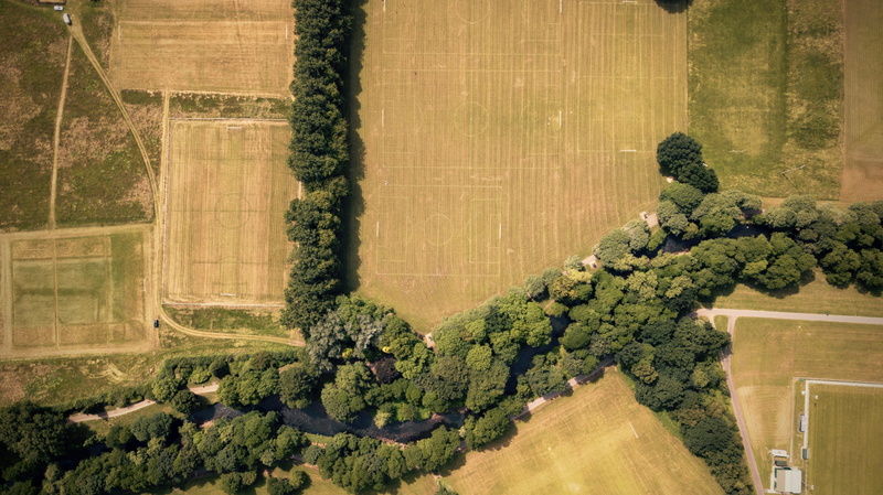 tranquility, growth, farm, conifer, day, environment, produce, fir, kale, united kingdom, view, nature, vegetable, tranquil scene, architecture, trees