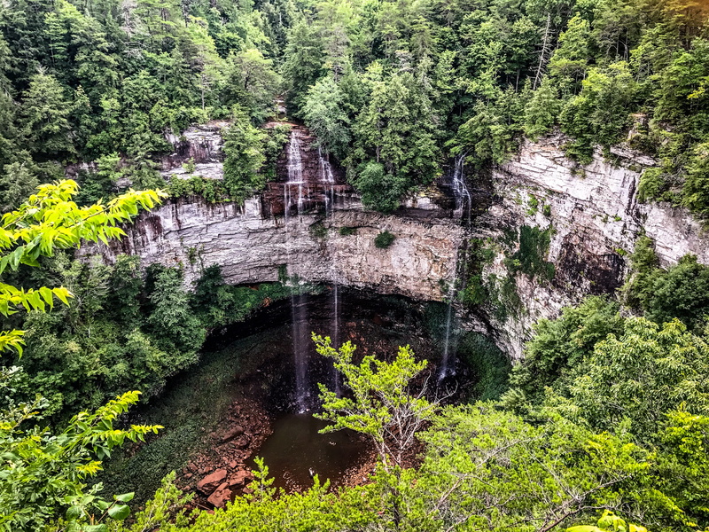 vegetation, pond, beauty in nature, bridge - man made structure, 2K, nature, bush, forest, pikeville, green color, river, land, flora, no people, fern