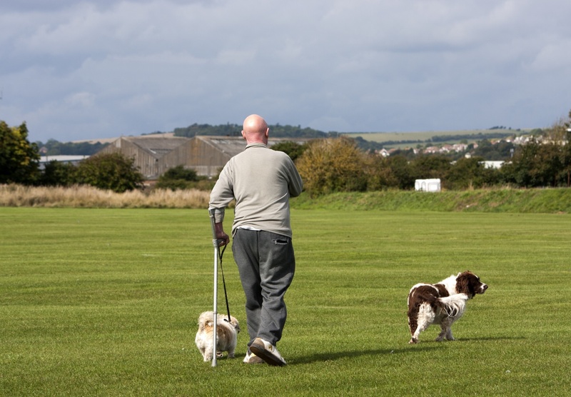 1080P, pet, disabled, man, pomeranian, spaniel, pet owner, rear view, green, cloud - sky, one person, countryside, animal, dog, vertebrate, mammal, person