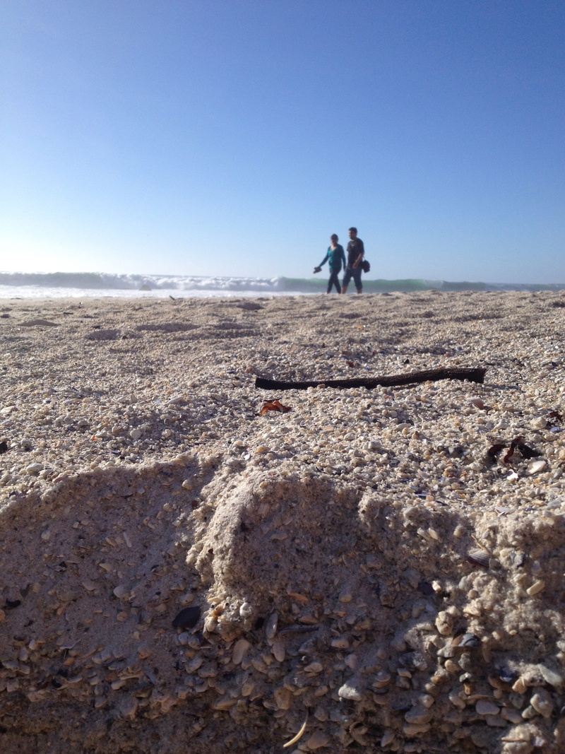 Stick, only men, standing, people, wave, Beach, beach, macro, full length, real people, tranquility, adults only, coastal, sunny, Couple, sea shell, relaxation