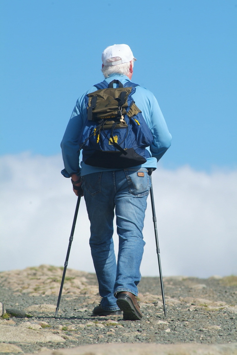 leisure activity, men, sport, activity, day, only men, sunlight, tourism, long, using, wandering, two, clothing, summer, mountains, adventure, nordic walking