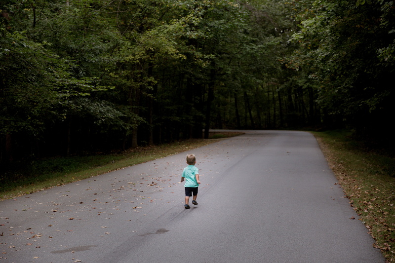 plant, innocence, path, time, direction, running, forest, boy, road, transportation, tree, green color, baby, full length, day, nature, travel, people