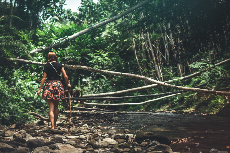 healthy, standing, lifestyles, person, water, green color, adventure, trees, young adult, real people, woman, growth, full length, holding, female, girl