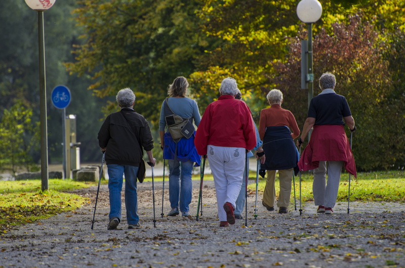 along, personal, rear view, real people, adult, senior men, males, togetherness, 4K, people, women, lifestyles, nature, daytime, group of people, canes