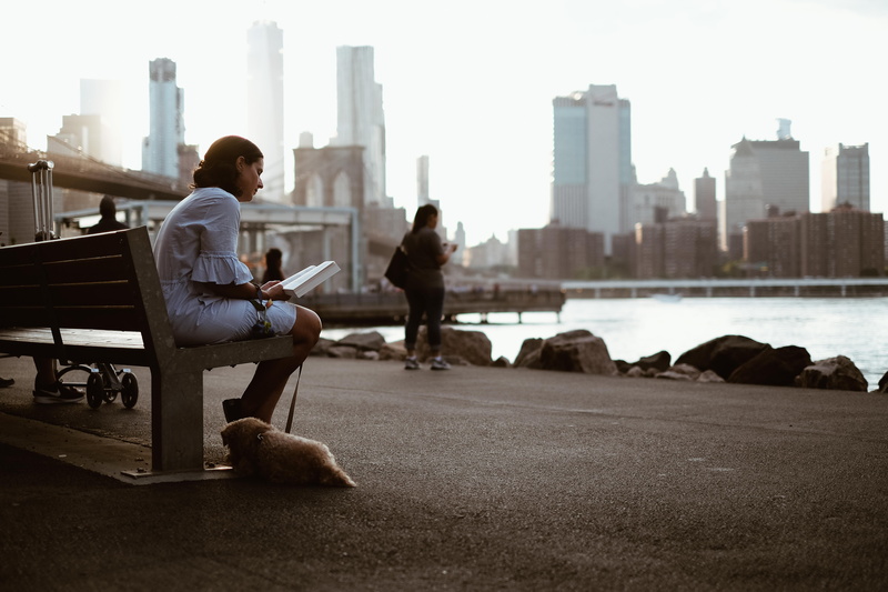 viewpoint, contemplation, natural Phenomenon, adults Only, white top, color Image, dog, city life, copy Space, skyscraper, daytime, focus, image Technique