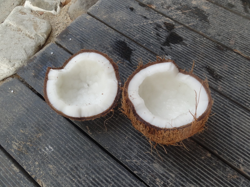 still life, food, freshness, no people, fruit, table, indoors, high angle view, 4K, egg, coconut, wood - material, day, travel, paradise lost, music, old