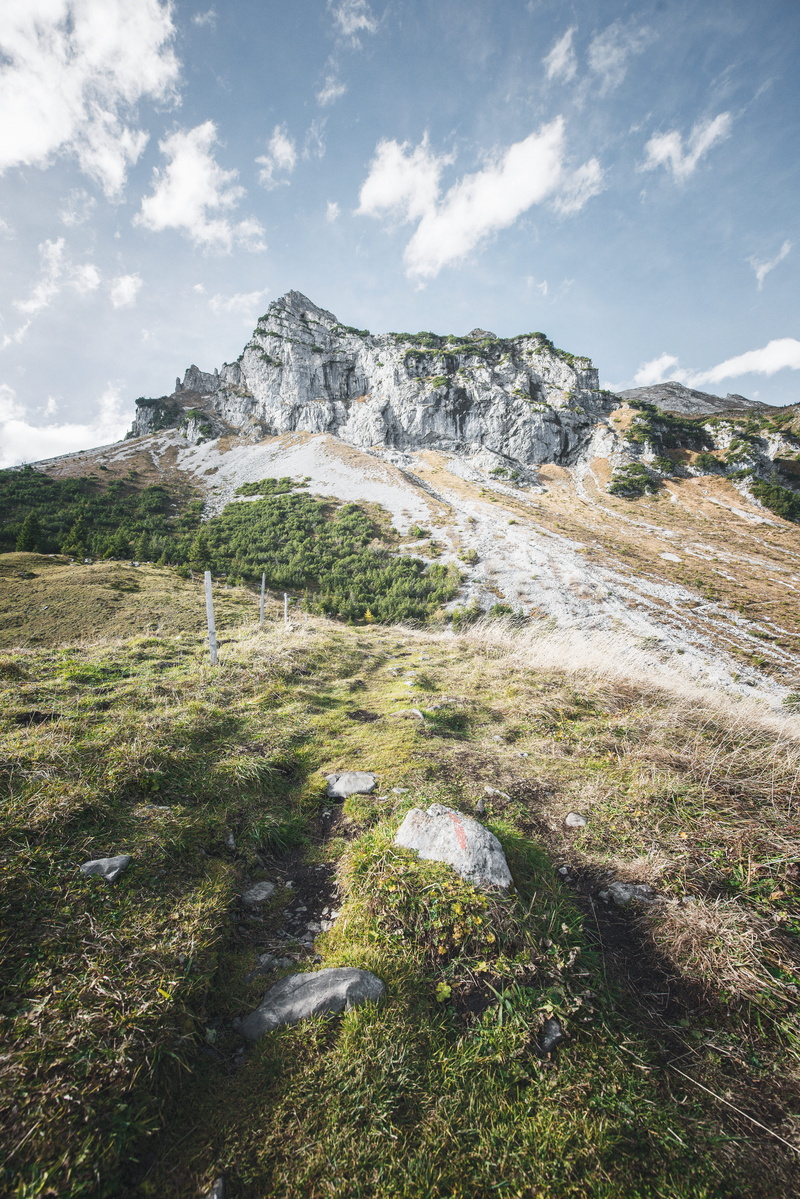 lungern, non-urban scene, rock, plateau, bird, mountain range, environment, day, switzerland, 5K, beauty in nature, fir, daytime, land, nature, outdoors