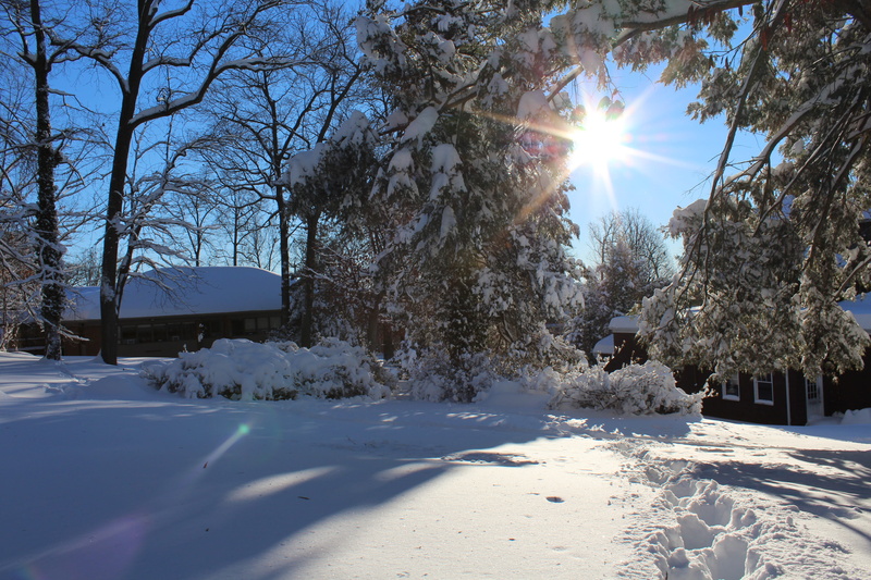 day, sky, sunbeam, outdoors, 5K, cold temperature, architecture, bright, sun, united states, trees, white, snow, blue, tree, sunny, streaming, building exterior