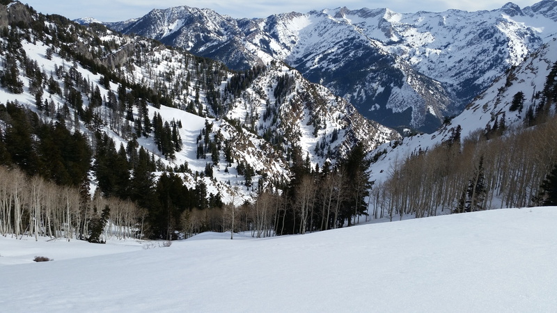 nature, white, snowboard, snow, non-urban scene, tranquil scene, beauty in nature, environment, no people, land, cold temperature, pine tree, scenics - nature