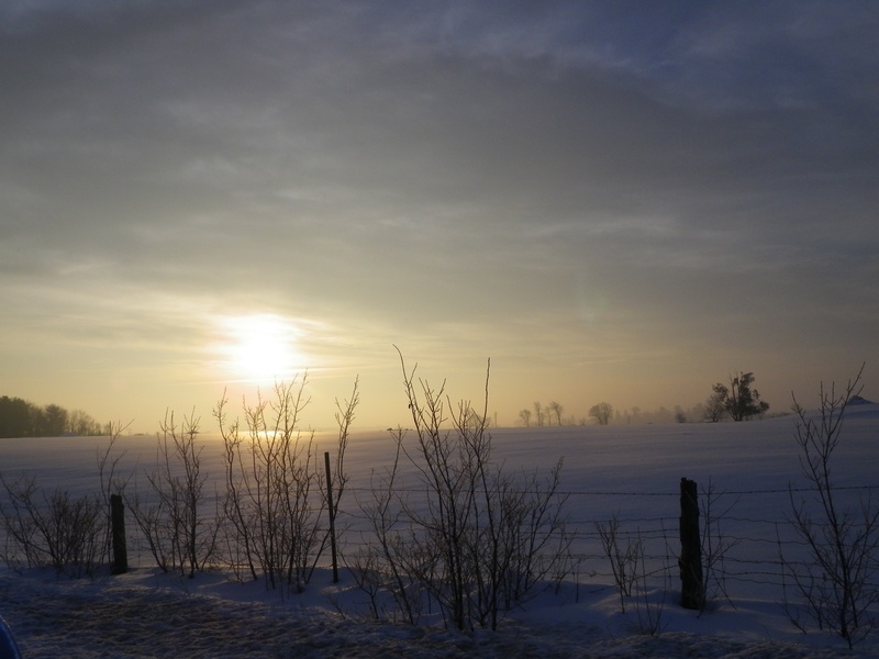 snow, landscape, against day, covering, sunrise, nature, sky, tree, cold, outdoors, cold temperature, water, closing, tranquility, 2K, morning, scenics - nature