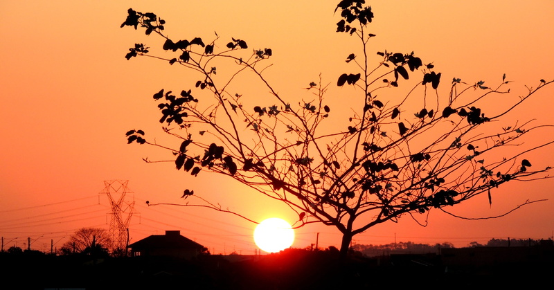 outdoors, nature, building exterior, Sol, plant, Sunset, beauty in nature, sky, built structure, no people, silhouette, orange color, scenics, tranquil scene