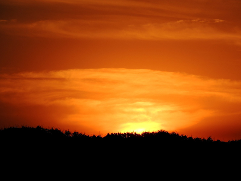 4K, against light, cloud - sky, sky, nature, sunlight, tree, beauty in nature, scenics, Sol, dramatic sky, orange color, tranquility, plant, majestic