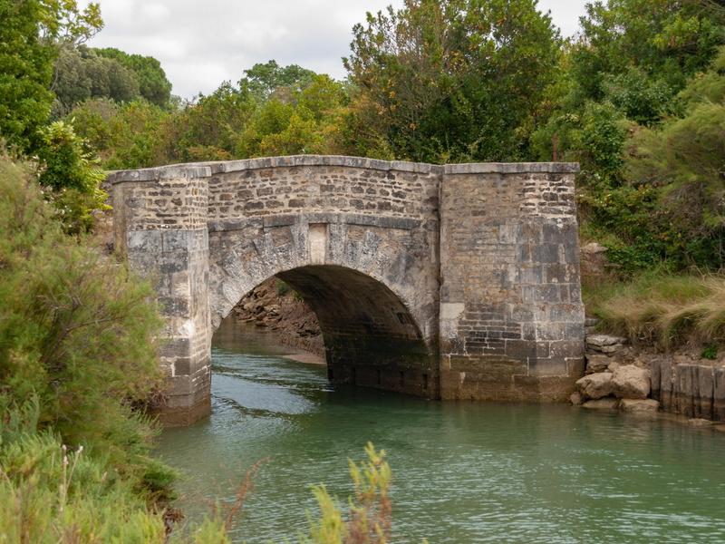 island of oleron, 2K, arch bridge, plant, transportation, cloud - sky, arch, pont napoleon, travel destinations, water, no people, maritime charente, growth