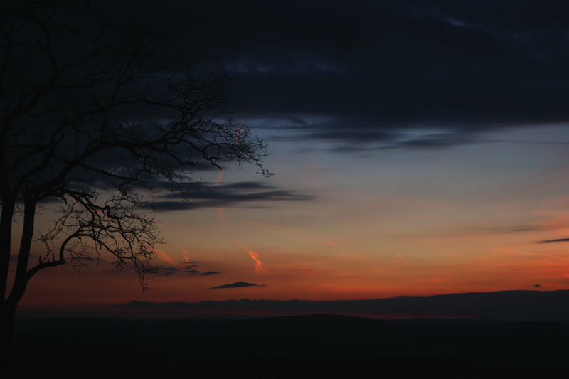 non-urban scene, branch, atmospheric, tree, rays, tranquility, orange color, contrail, sunset, outdoors, landscape, beauty in nature, mysterious, silhouette