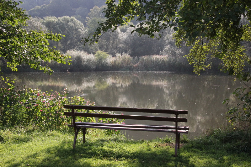 park - Man Made Space, grass, scenics, seat, 5K, tranquility, wood - Material, tree, green, middle, park bench, no people, scenics - nature, tranquil scene