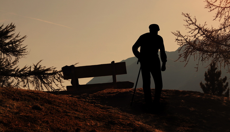 plant, resting place, view, land, full length, standing, tranquility, mountains, recovery, real people, non-urban scene, viewpoint, evening sun, tranquil scene