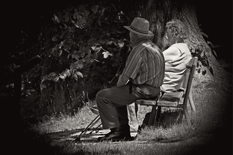 full length, day, togetherness, nature, outdoor, recovery, two people, man, people, rear view, old, plant, sitting, age, black, senior Adult, adult, sit