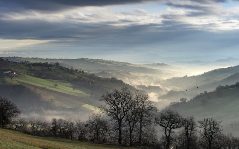 valley, no people, non-urban scene, fog, tranquil scene, house, tranquility, day, hills, morning, plant, mist, nature, idyllic, outdoors, landscape, scenics - nature