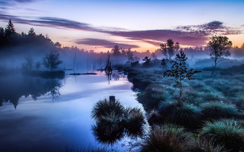 plants, shrubs, fog, mist, non-urban scene, 1080P, cloud - sky, river, reflection, outdoors, landscape, tranquility, water, growth, environment, green