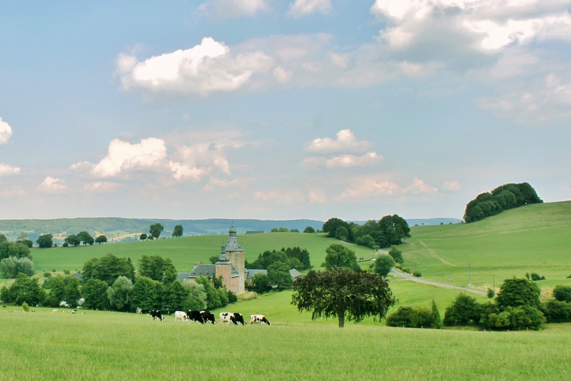 green, nature, leisure, clouds, cows, cattle, idyll, land, summer, plant, environment, view, herd, castle, relaxation, mammal, animal themes, hiking, no people