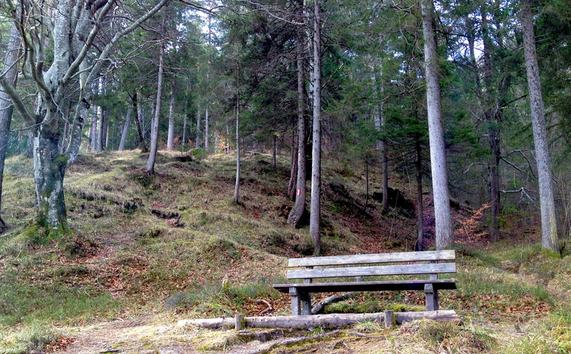 land, plant, outdoors, mountains, non-urban scene, bench, green Color, tranquility, scenics, Nature, hiking, tranquil Scene, park - Man Made Space, trunk