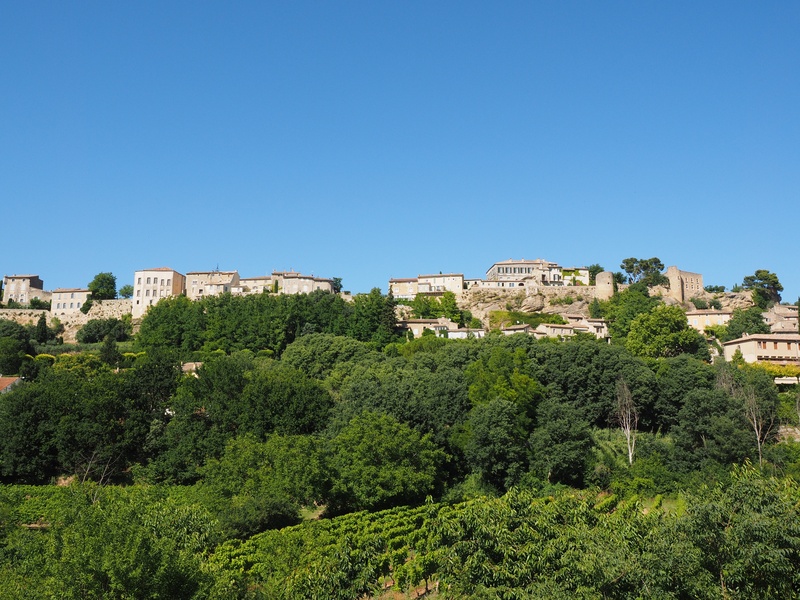 provence, growth, tree, sky, blue, hill, green color, outdoors, clear sky, day, nature, homes, french community, view, building exterior, building, provence-alpes-côte dazur