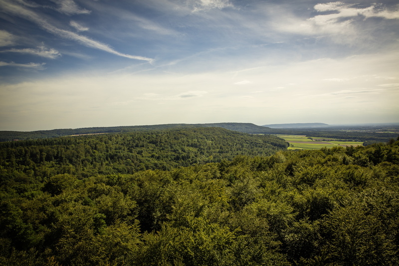 swiss francs, franconian alb, outdoors, fränksiche switzerland, no people, plant, foresight, tranquil scene, leisure, green Color, landscape, hiking, brochure