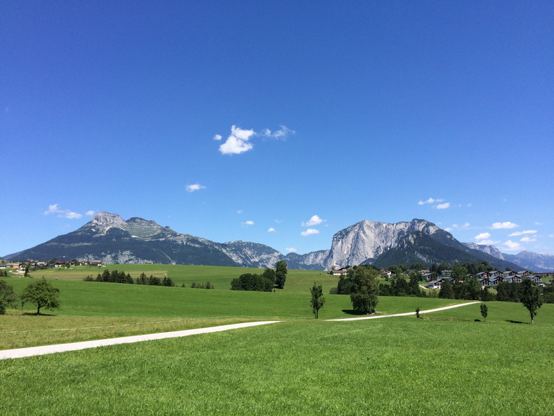 basic elsee, tree, green color, european Alps, plant, cloud - sky, land, foresight, snowcapped mountain, summer, beauty in nature, nature, blue, mountains
