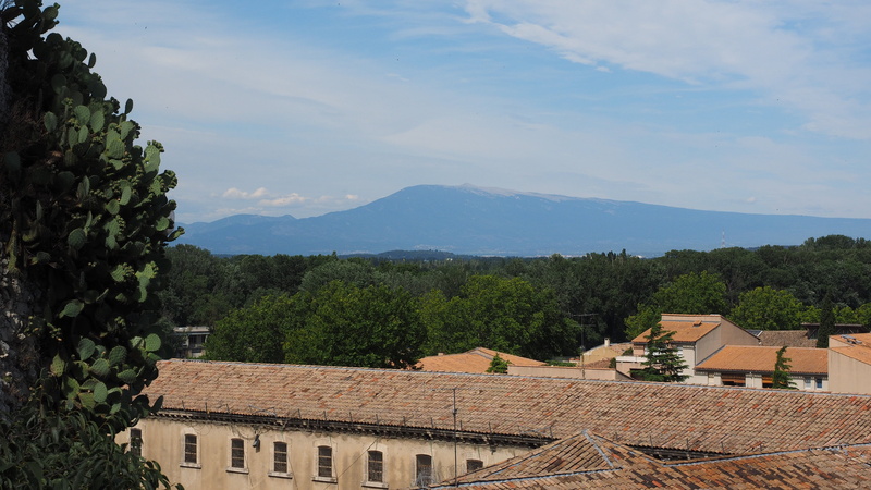 homes, europe, scenics - nature, tree, roofs, high angle view, plant, town, sky, distant view, no people, 4K, architecture, day, residential district
