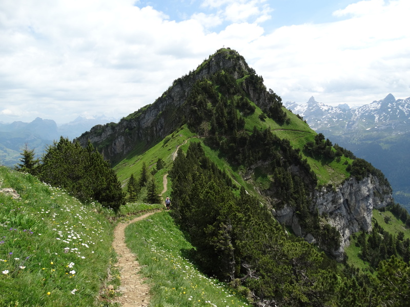 mountain trail, sky, tranquility, growth, non-urban scene, idyllic, land, outdoors, environment, mountain peak, beauty in nature, landscape, 5K, remote