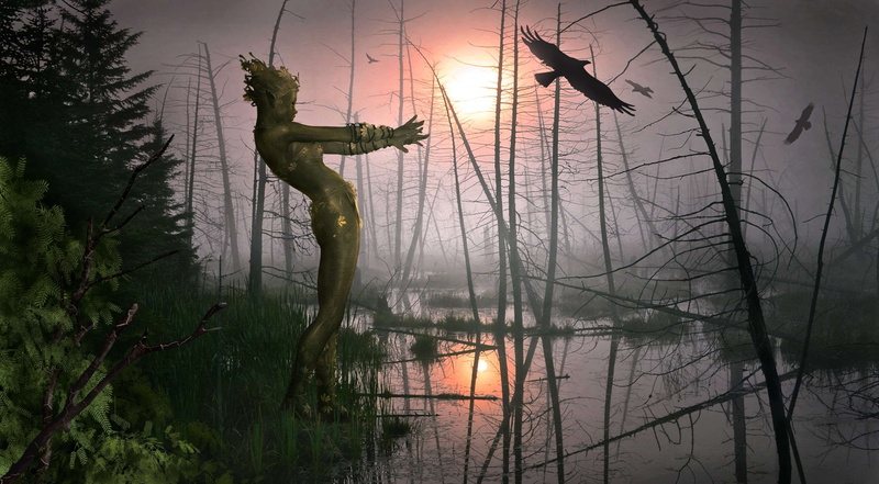 mirroring, reflection, evening, mood, water, tranquil scene, scenics - nature, nature, lake, say make, sunset, sky, silhouette, bare tree, weird, mysterious