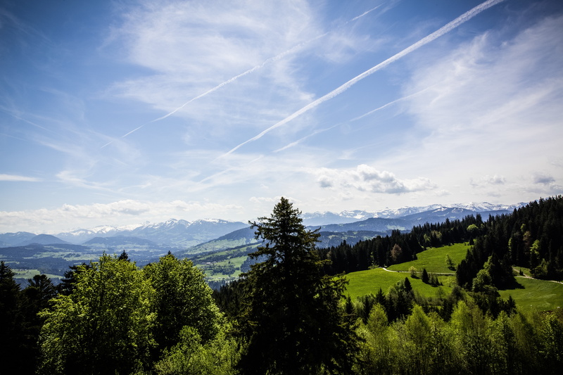 mountain range, landscape, pine woodland, view, plant, foresight, mountaineering, more, tranquility, land, no people, coniferous tree, places of interest