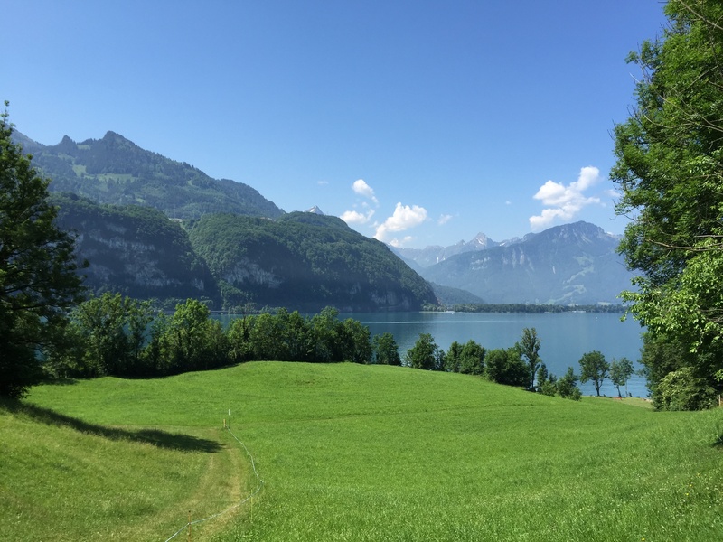 mountains, tranquility, growth, water, landscape, scenics - nature, green color, nature, grass, tranquil scene, foresight, non-urban scene, distant view
