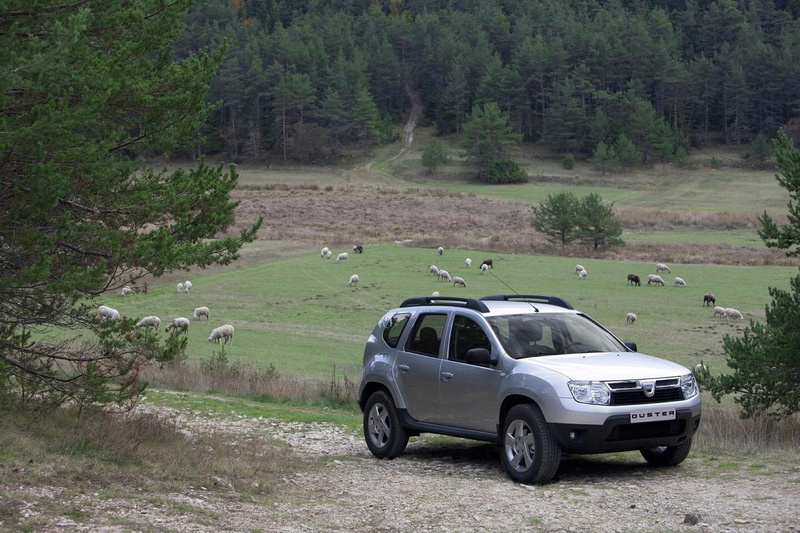 sports utility vehicle, motor vehicle, mammal, land vehicle, 1080P, land, landscape, car, transportation, tree, nature, forest, dacia, plant, animal themes
