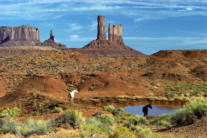 1080P, animals, horse, horses, waters, near, desert, utah, lake