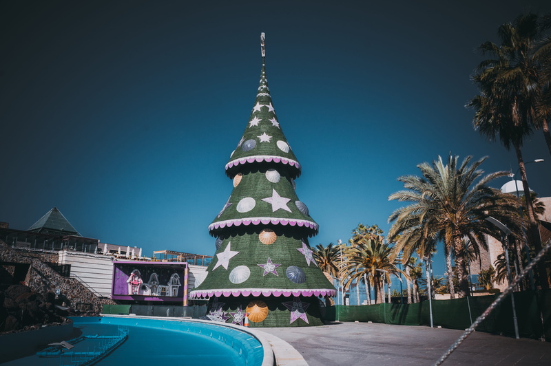 place of worship, low angle view, pink, palms, city, sunny, christmas, building exterior, palm tree, 4K, travel destinations, no people, christmas tree