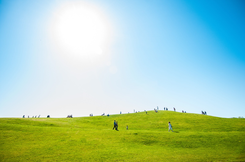 around, green, outdoors, 4K, travel, grass, clear sky, environment, plant, sunny, land, group of people, scenics - nature, blue, day, beauty in nature