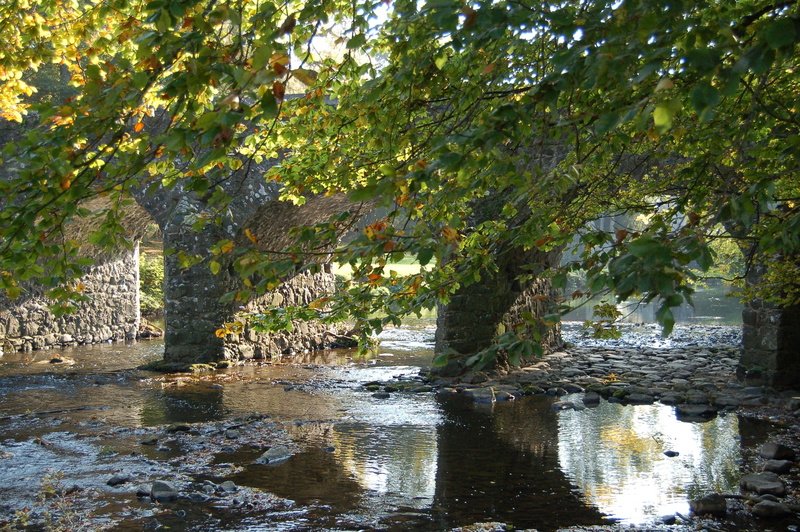 day, river, reflection, tranquil scene, outdoors, tree, beauty in nature, tranquility, waterfront, grounds, growth, antrim, 2K, scenics - nature, nature